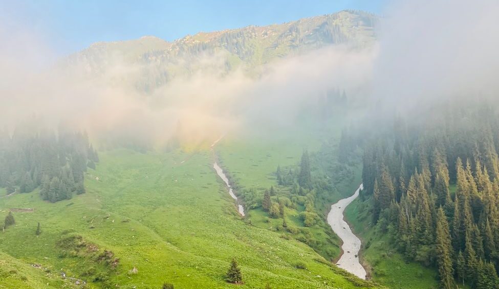 misty mountain landscape with lush greenery